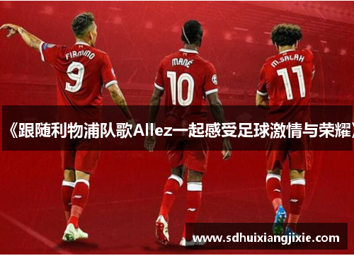 《跟随利物浦队歌Allez一起感受足球激情与荣耀》