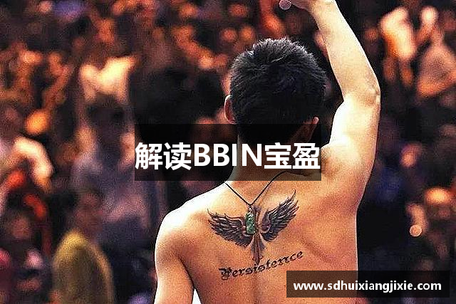 解读BBIN宝盈